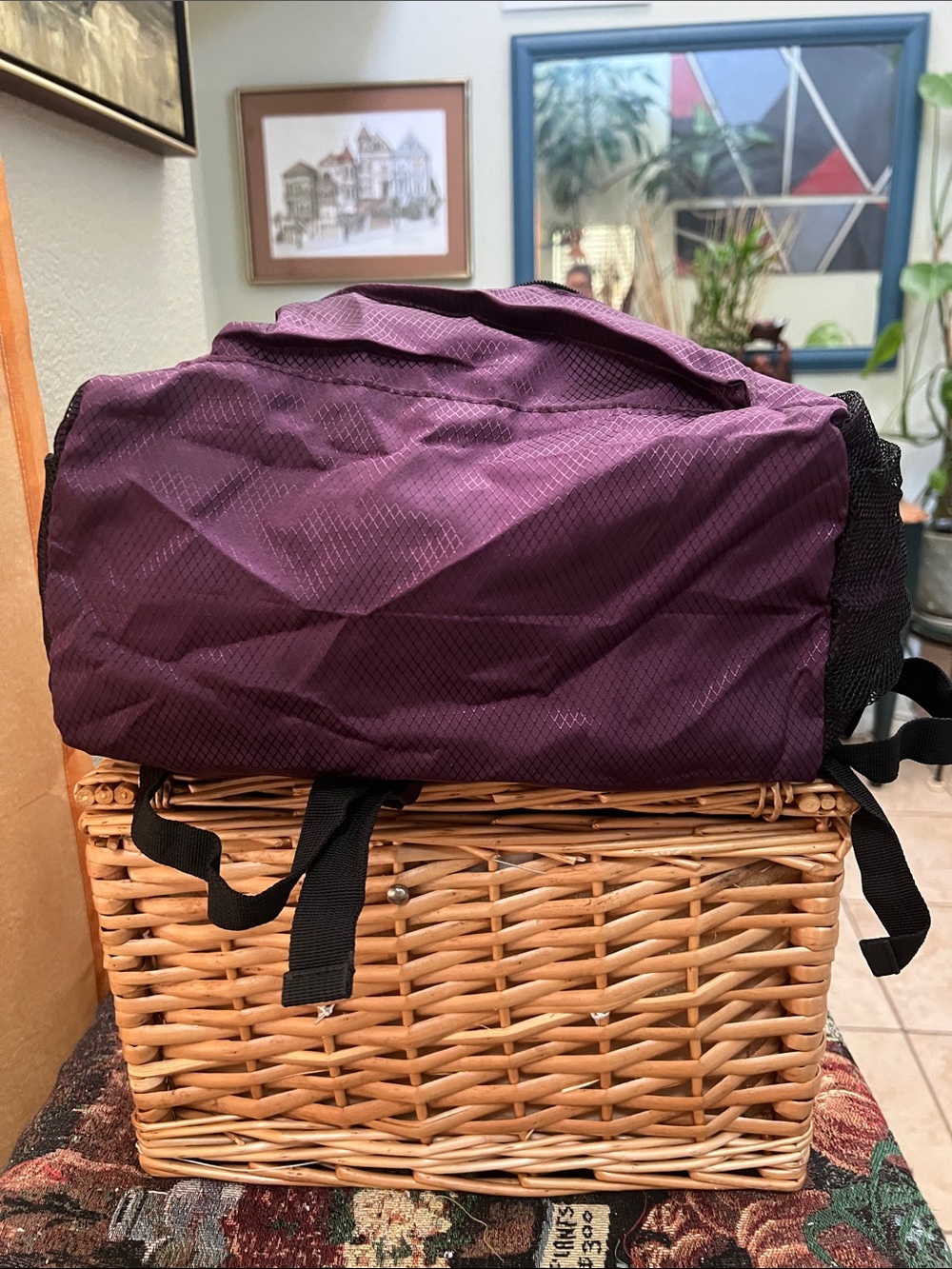 The North Face Purple Daypack Packable Backpack lightweight with Mesh Side Pocke - Picture 5 of 9